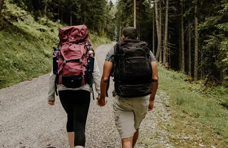 Nature trekking through lush green forest trails in Dandeli