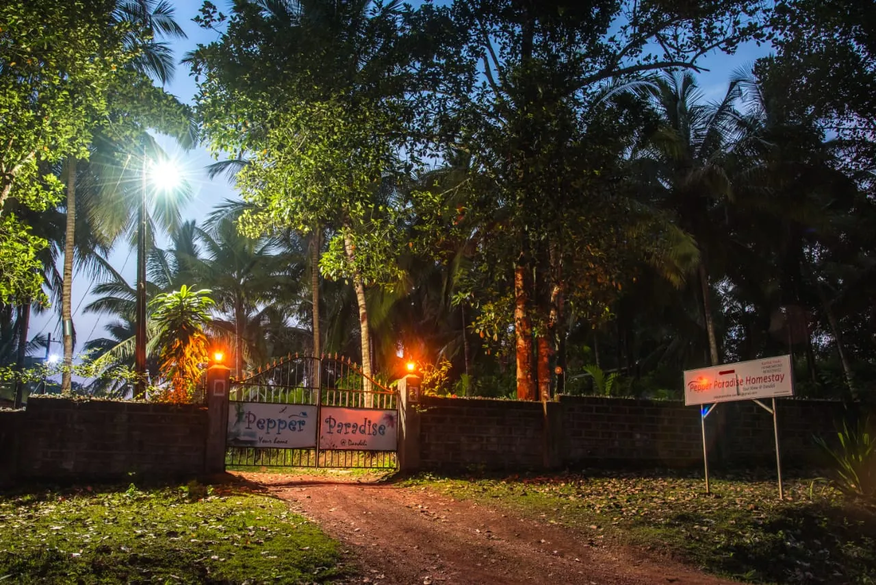 Evening ambiance at the Dandeli resort with warm lights